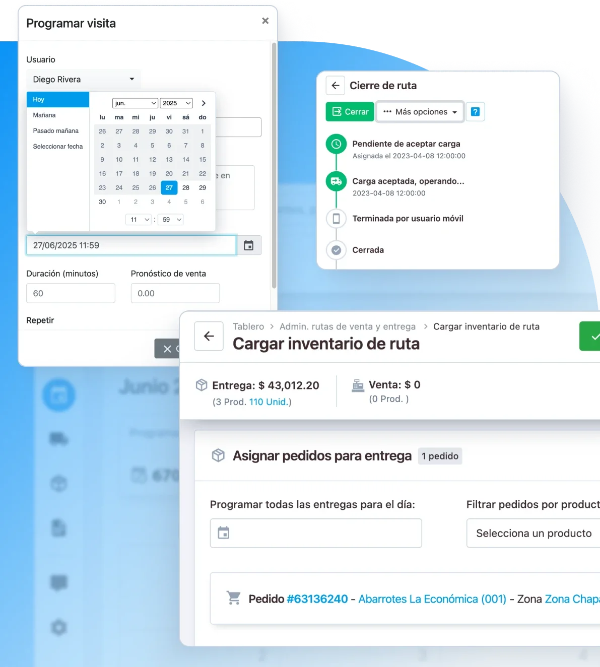 Planificación de visitas y carga de pedidos