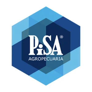 Logo PiSA